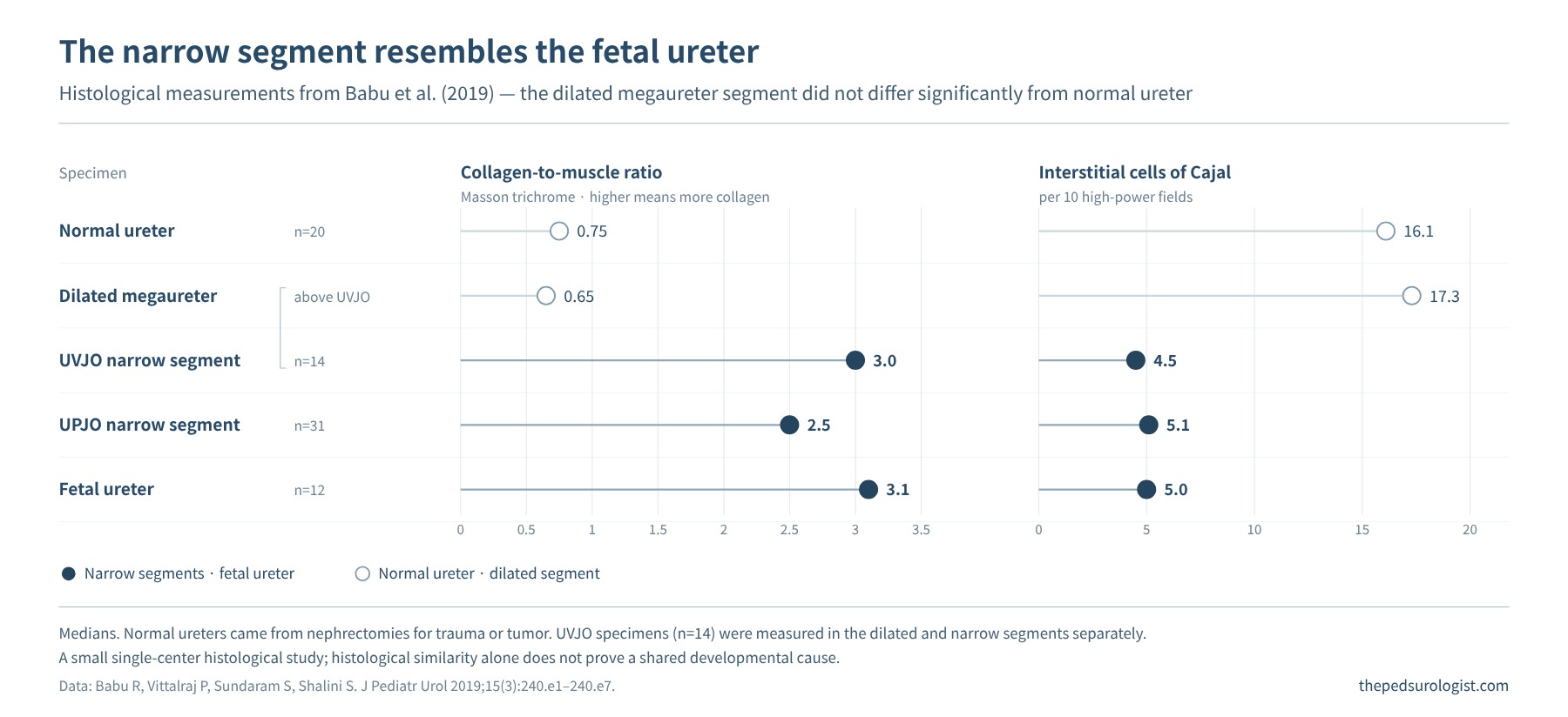 Dot plot of the medians from the 2019 study by Babu et al. The collagen-to-muscle ratio is 0.75 in normal ureter, 0.65 in the dilated portion of megaureter, 3.0 in the UVJO narrow segment, 2.5 in the UPJO narrow segment and 3.1 in fetal ureter; interstitial cells of Cajal per 10 high-power fields are 16.1, 17.3, 4.5, 5.1 and 5.0, respectively