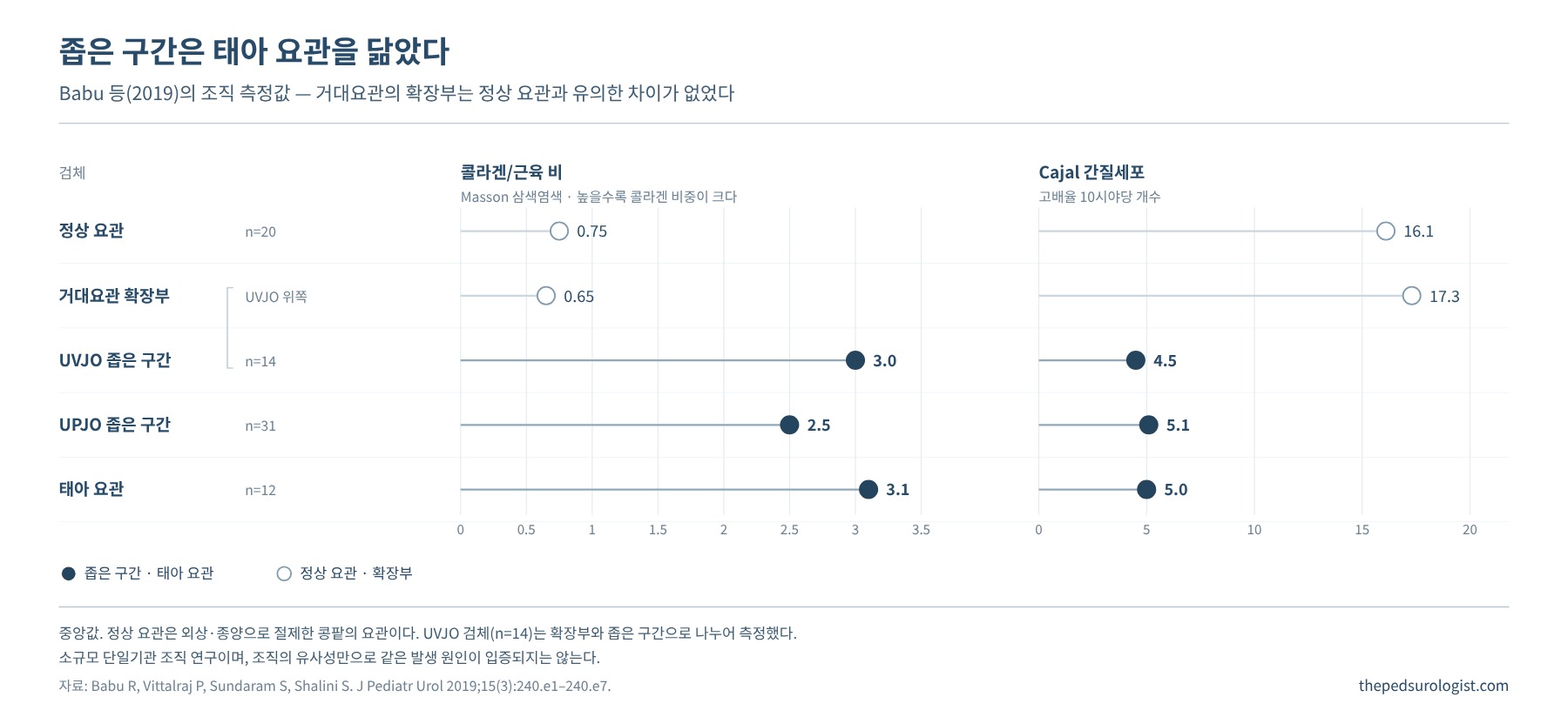 Babu 등 2019년 연구의 중앙값을 나타낸 점 그래프. 콜라겐/근육 비는 정상 요관 0.75, 거대요관 확장부 0.65, UVJO 좁은 구간 3.0, UPJO 좁은 구간 2.5, 태아 요관 3.1이고, Cajal 간질세포는 고배율 10시야당 각각 16.1, 17.3, 4.5, 5.1, 5.0개다
