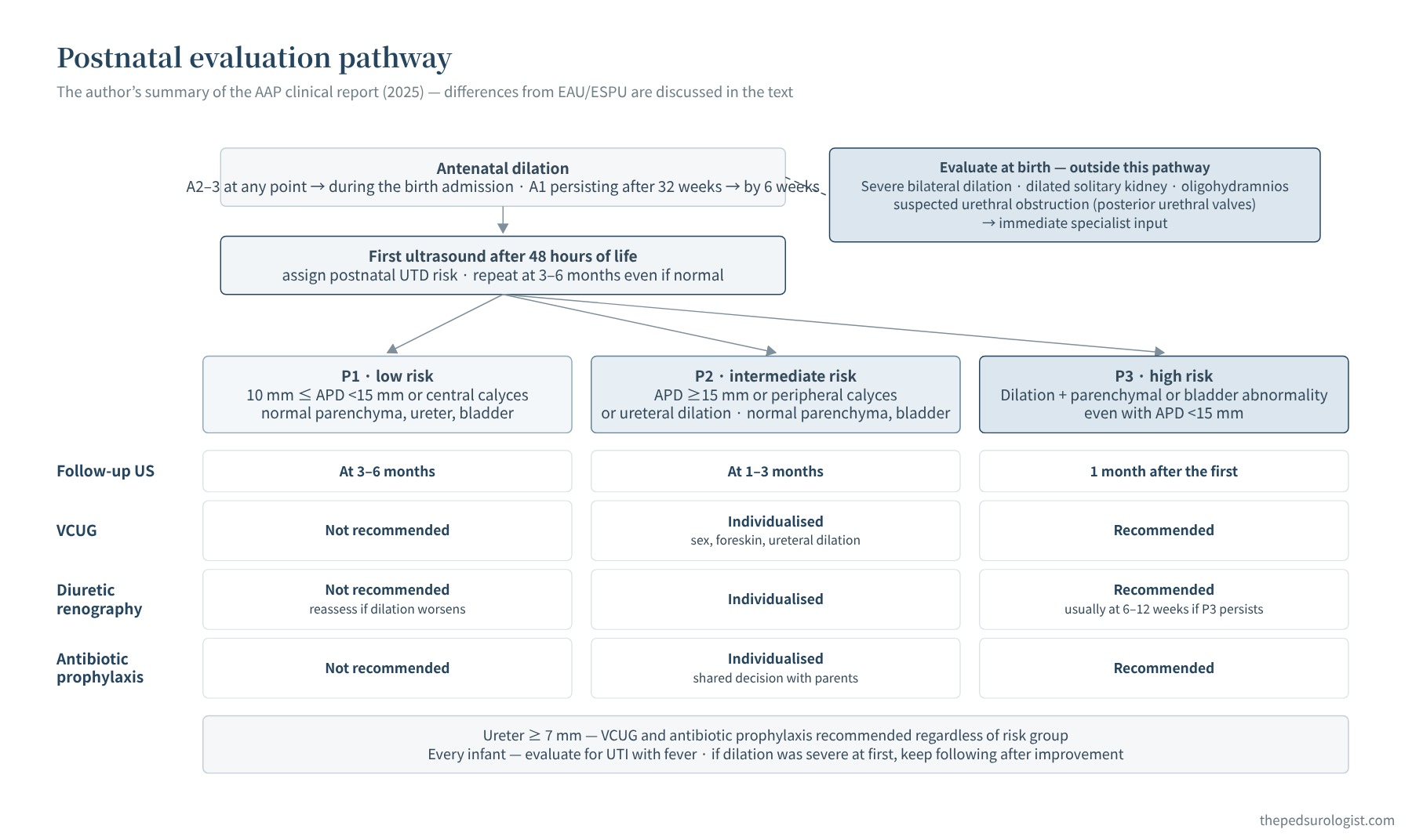 Flowchart of postnatal evaluation for a child with prenatal hydronephrosis. Persistent prenatal A1 has the first ultrasound between 48 hours and 6 weeks of life and prenatal A2–3 during the birth hospitalization; follow-up ultrasound intervals, VCUG, antibiotic prophylaxis and diuretic renography are shown by postnatal UTD risk group P1, P2 and P3. A ureter of 7 mm or more separately carries a recommendation for VCUG and antibiotic prophylaxis. Suspected bladder outlet obstruction is split off for evaluation immediately after birth