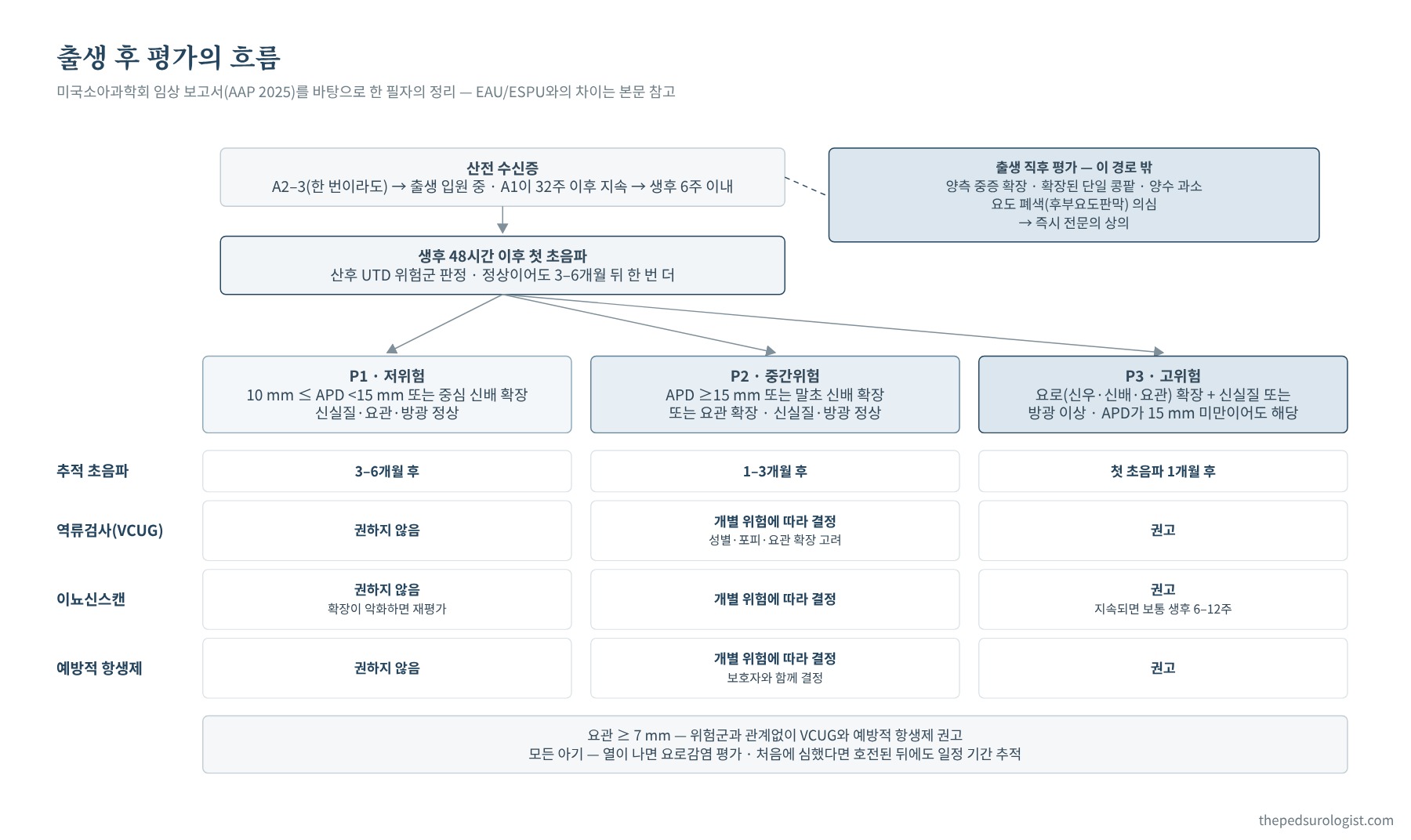 산전 수신증 아이의 출생 후 평가 흐름도. 산전 A1 지속은 생후 48시간에서 6주 사이, 산전 A2–3은 출생 입원 중 첫 초음파를 보고, 산후 UTD 위험군 P1, P2, P3에 따라 추적 초음파 간격, 역류검사, 예방적 항생제, 이뇨신스캔을 표시. 요관 7 mm 이상은 별도로 역류검사와 예방적 항생제 권고. 방광출구폐색 의심은 출생 직후 평가로 따로 분리