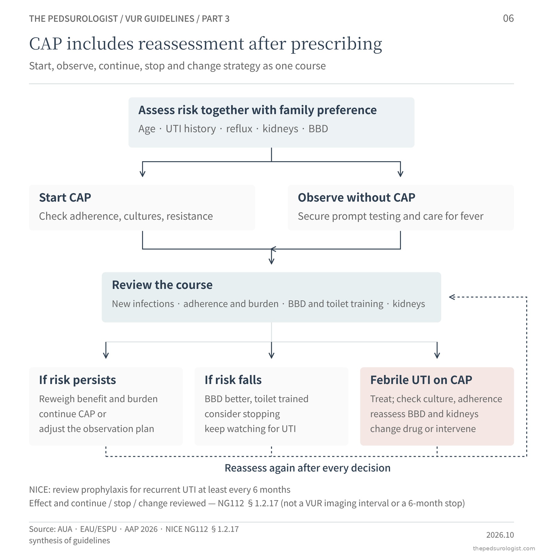 Cyclical flow chart of the prophylaxis decision. Risk and family preference are assessed, leading to either starting CAP or observing without it; the course is reviewed, and if risk persists the plan is reweighed, if risk falls stopping is considered, and a febrile UTI on CAP prompts a change of drug or intervention, with reassessment repeated after every decision