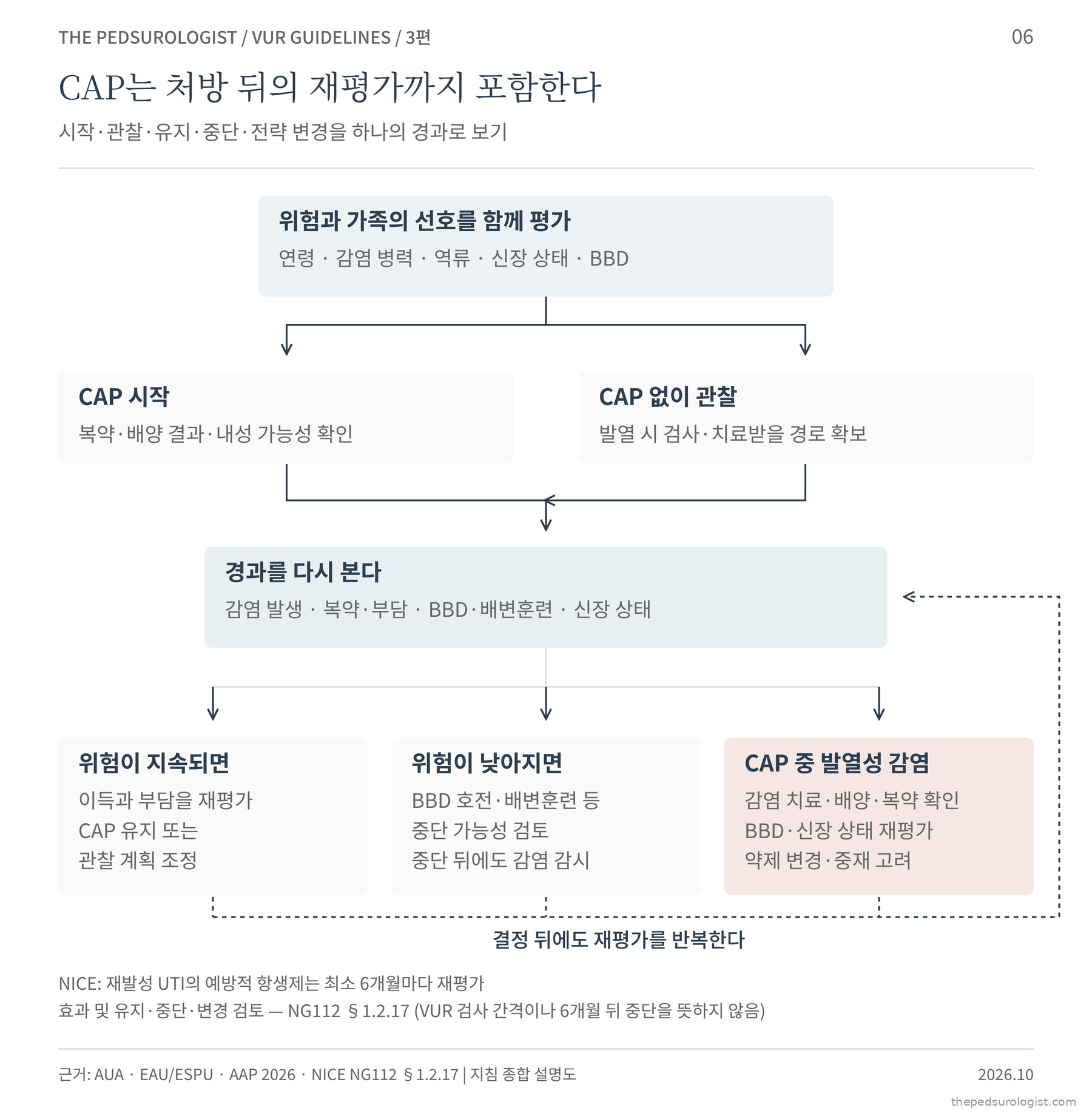 예방적 항생제 결정의 순환 흐름도. 위험과 가족 선호를 평가해 CAP 시작 또는 CAP 없이 관찰로 나뉘고, 경과를 다시 보아 위험이 지속되면 재평가, 위험이 낮아지면 중단 검토, CAP 중 발열성 감염이면 약제 변경이나 중재를 고려하며, 결정 뒤에도 재평가를 반복한다