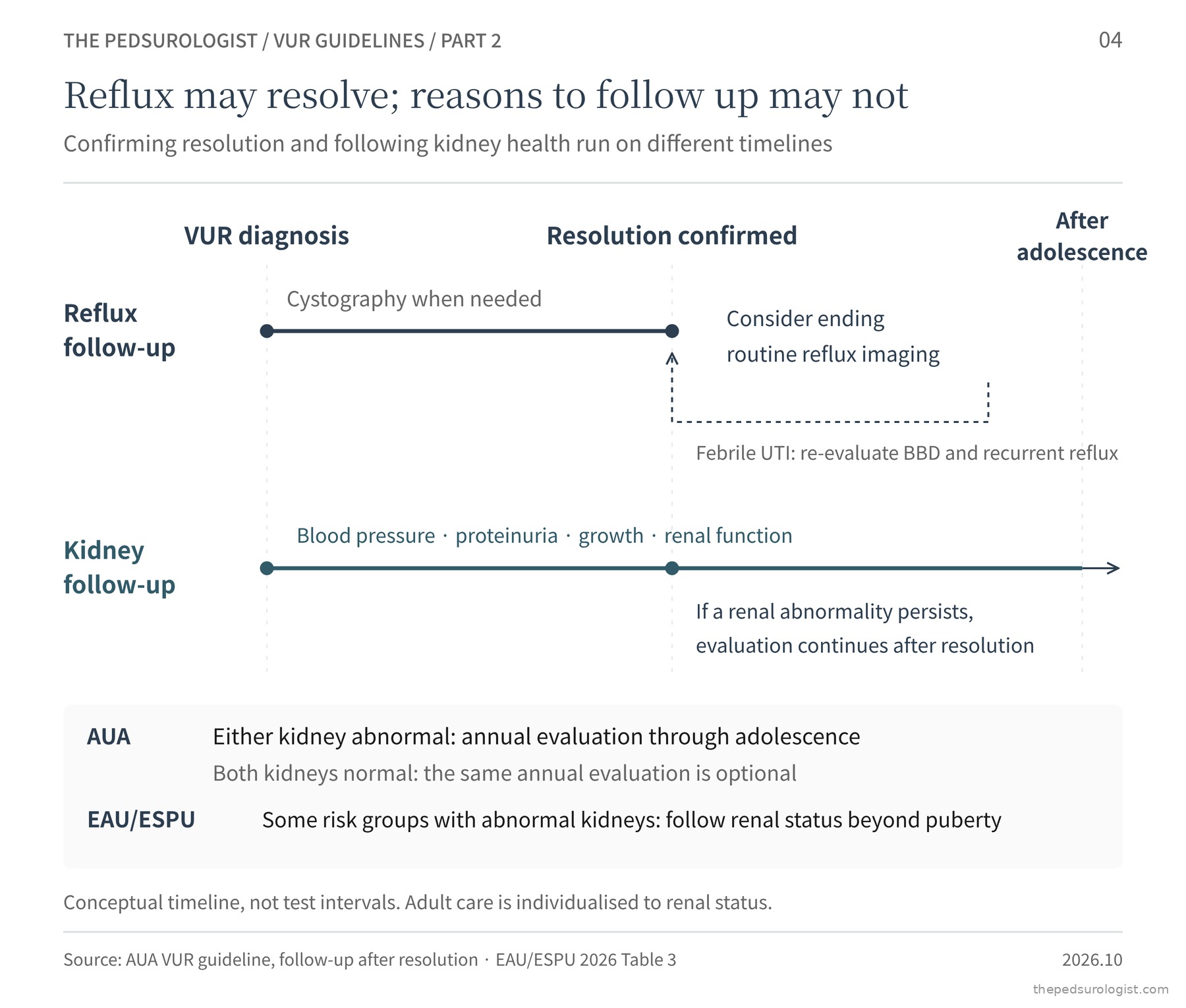 Conceptual diagram of reflux follow-up and kidney follow-up as two timelines. Reflux follow-up runs from diagnosis to confirmed resolution, after which an end to routine reflux imaging is considered, with BBD and recurrent reflux re-evaluated if a febrile UTI occurs. Kidney follow-up continues beyond adolescence if a renal abnormality remains