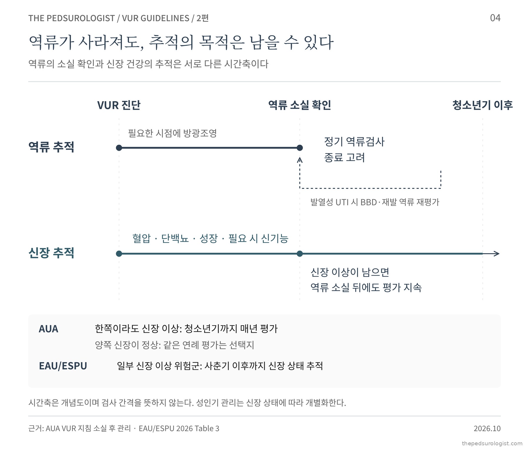 역류 추적과 신장 추적을 두 개의 시간축으로 그린 개념도. 역류 추적은 진단에서 소실 확인까지 이어지고 그 뒤 정기 역류검사 종료를 고려하며, 발열성 요로감염이 생기면 BBD와 재발 역류를 재평가한다. 신장 추적은 신장 이상이 남으면 소실 뒤에도 청소년기 이후까지 이어진다